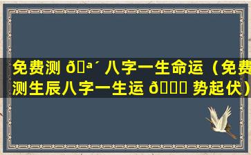 免费测 🪴 八字一生命运（免费测生辰八字一生运 🐅 势起伏）